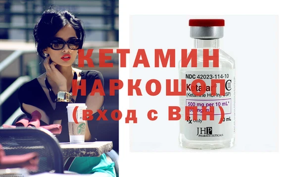 сатива Ельня