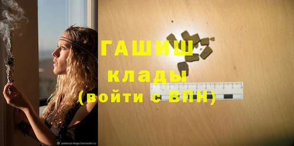 шишки Дмитров