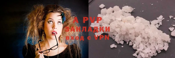 сатива Ельня