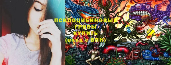 сатива Ельня