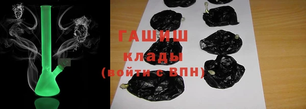 сатива Ельня