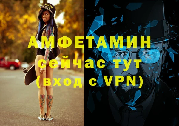 сатива Ельня
