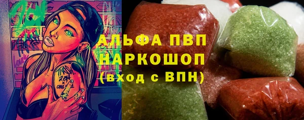 сатива Ельня