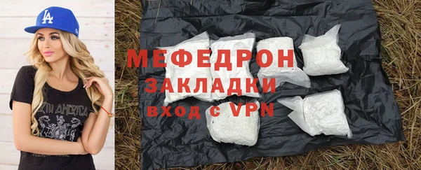 сатива Ельня