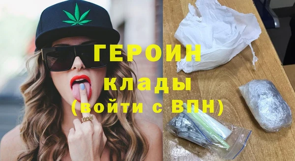 сатива Ельня