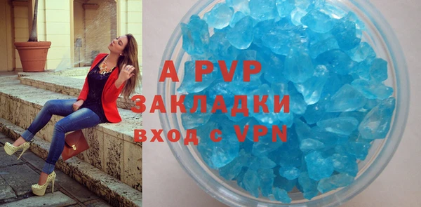 сатива Ельня