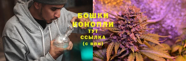 синтетический гашиш Елизово