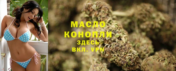 спайс Тавда
