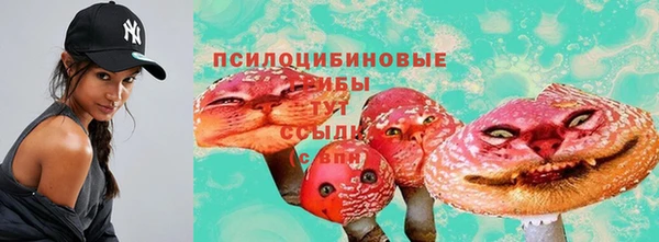 синтетический гашиш Елизово