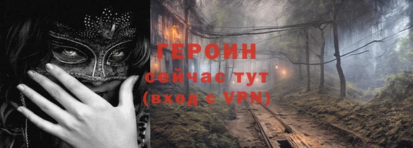 сатива Ельня