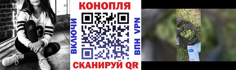 Марихуана семена  блэк спрут   Одинцово  магазин  наркотиков 